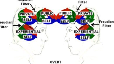 system justification